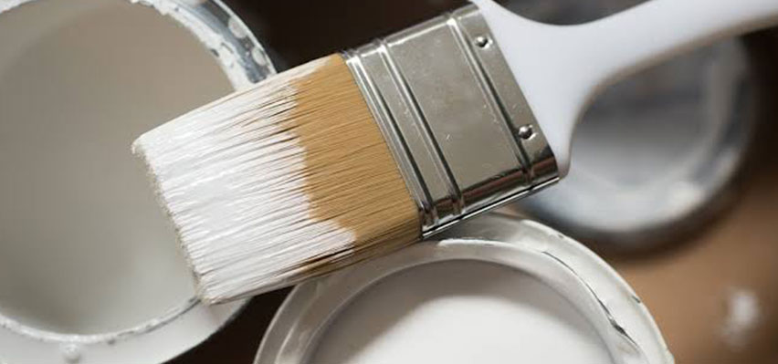Planning to use Milk Paint for your house makeover? Why not! I’m sure a lot of you will ask why we are blogging about milk paint when it seems a somewhat unusual type of paint to use on houses or commercial establishments. Well, this blog post is more of a milk paint FAQ, with tips on how and where to use it best. As it turns out, a lot of our customers are interested in using this type of paint and we do get many inquiries on whether or not milk paint can be used on interior walls. But before we move on further, let me first tell you what milk paint is. Milk Paint is a water-based paint that usually comes in powder form. And, unlike most paints that come in cans, milk paint comes in sacks. It is made of all-natural ingredients, typically milk and lime, so it is very safe to use as it is non-toxic. This type of paint has been around for thousands of years and is nowadays often used when you want to achieve a “French colonial style” design. And surely, when you walk into French restaurants or French cafes, you will see milk paint being used on interior walls and furniture to achieve a perfect French look and feel. Milk paint can be used to create authentic reproductions and replicas of antique furniture or modern pieces that do not rely on any connection with the past. The use of milk paint on interior walls and furniture is not for the faint of heart, though. We do not recommend this to be the type of paint to use when DIY painting. It takes a significant amount of time and patience to master the art of milk painting and achieve perfect results. Also, mind you, milk paint doesn’t come cheap. However, if you’d still want to try your hand at milk painting, here’s what you should remember: Have a Good Paint Stirrer Our first and one of the most important pieces of advice is not to underestimate this part. We’ve heard a lot of “horror stories” just overcoming the “mixing” portion of milk paint. So be aware that this is the part where most DIYers almost gave up, and if you want to achieve milk painting success, be sure to spend a good amount of patience on this first step of the process. Milk Paint is Best Used on Porous Materials For interior walls or furniture painting, milk paint is best used on untreated wood. Many have tried using milk paint on non-porous materials or finished walls and ended up putting multiple layers only to achieve the desired look. Some even had to use a bonding agent just to make the paint stick, which means additional time and added cost. Thus, another tip if you’re using a non-porous material is to have enough sacks of milk paint powder so you won’t end up making several trips to the paint store. The best thing about milk paint is that if you buy more than what you need, you can easily store it. These won’t dry up on you or expire as long as they’re still in powdered form. Start Small If you are a beginner in milk painting, do not experiment on the largest wall or the biggest furniture. Start with the smallest non-porous furniture or a narrow wall in your home. Working on a small portion of your walls, which you could perhaps turn into an accent wall, will give you an idea of how long it will take you to complete the whole room. Dark on Dark Whether you want a darker or a lighter finish, if you are painting dark-colored wood, use a dark shade of milk paint color as a primer, let it dry, then apply a double coat of lighter shade of milk paint. And for best furniture painting results, apply a good furniture wax. I hope this article helps. If you have more questions or if you need help with your milk painting project, it is best to consult an expert paint technician to ensure that your room or furniture will look perfect in no time.